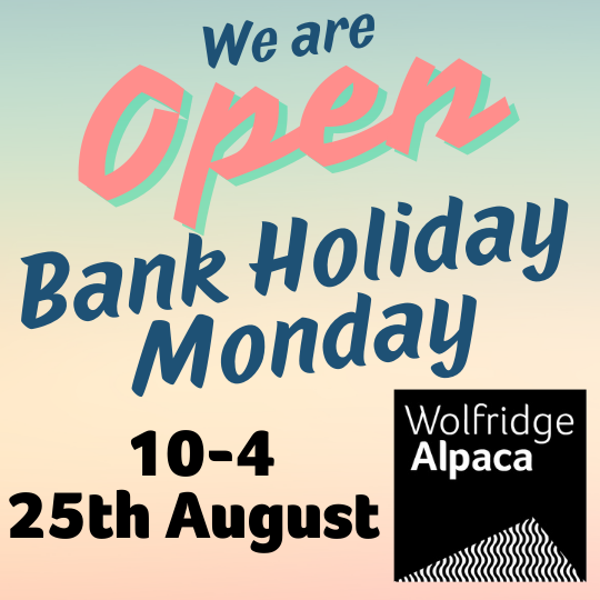 Open Bank Hol